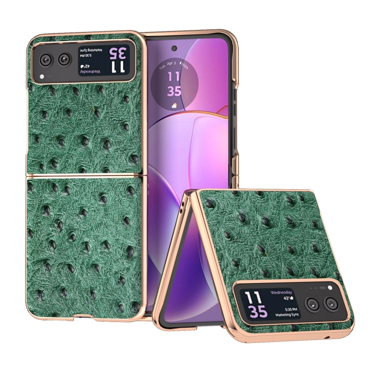 For Motorola Razr 40 Nano Plating Genuine Leather Ostrich Texture Phone Case(Green) - Motorola Cases by buy2fix | Online Shopping UK | buy2fix