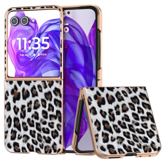 For Motorola Razr 50 Ultra Nano Plating Leopard Print Phone Case(Silver) - Motorola Cases by buy2fix | Online Shopping UK | buy2fix