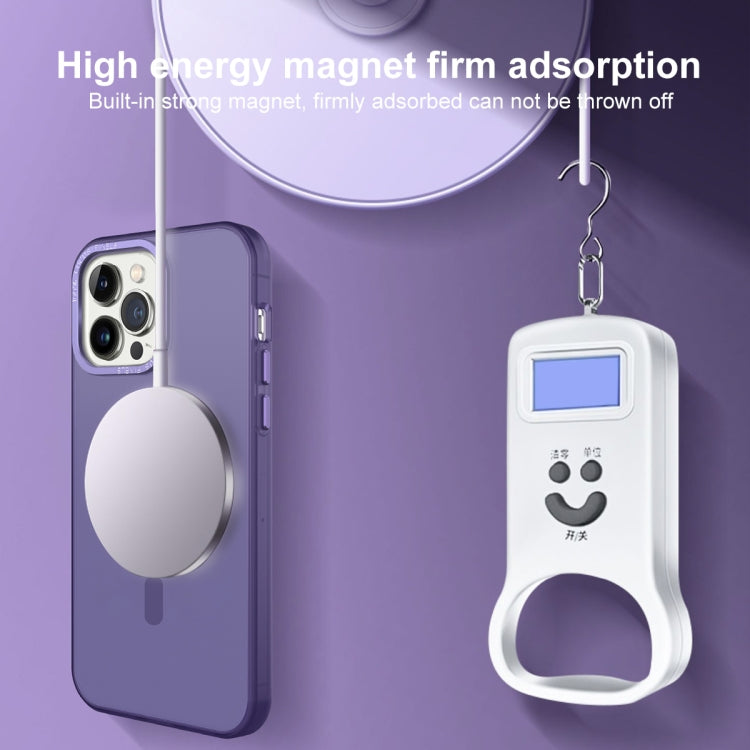 For iPhone 12 Pro Max MagSafe Frosted Translucent Mist Phone Case(White) - iPhone 12 Pro Max Cases by buy2fix | Online Shopping UK | buy2fix