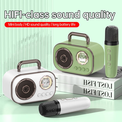 HiFi Bluetooth 5.3 Speaker Support FM, with 2 x Microphone(Green) - Desktop Speaker by buy2fix | Online Shopping UK | buy2fix