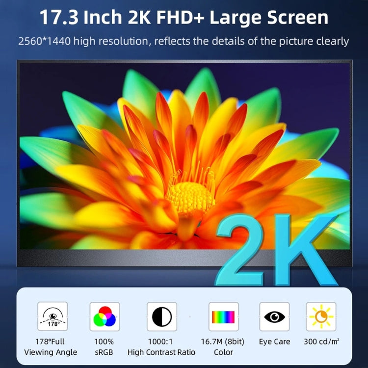 17.3 inch UHD 2560x1440P IPS Screen Portable Monitor(No Charger) - LCD Monitors by buy2fix | Online Shopping UK | buy2fix