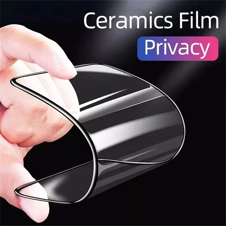 For iPhone 12 Pro Max 25pcs Full Coverage Frosted Privacy Ceramic Film - iPhone 12 Pro Max Tempered Glass by buy2fix | Online Shopping UK | buy2fix