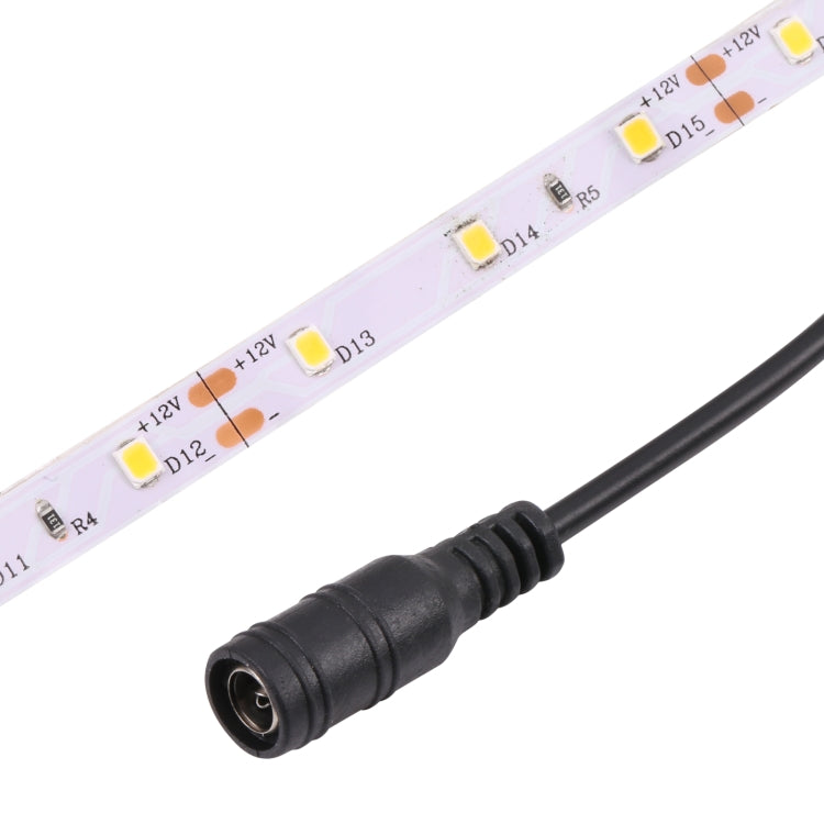 Bare Board 2835 SMD Dimmable White Light / Warm Light LED Rope Light, 60 LED/m, Length: 5m, 12V 2A 100-240V(US Plug) - Bare Board Light by buy2fix | Online Shopping UK | buy2fix