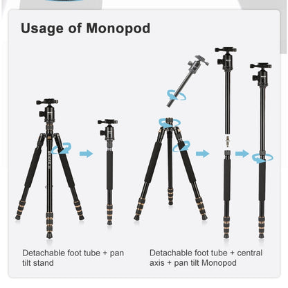 TRIOPO 554 Adjustable Portable  Aluminum Alloy Tripod with D-2A Ball Head for SLR Camera - Camera Accessories by TRIOPO | Online Shopping UK | buy2fix