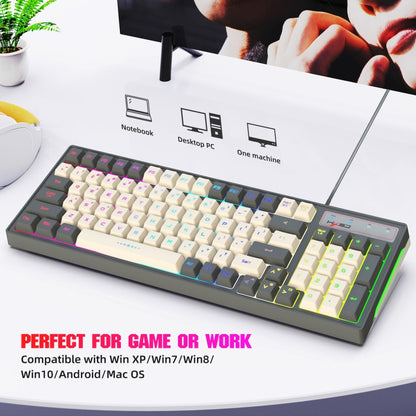 HXSJ V600 96-key RGB Backlit Dual-color Injection-molded Wired Gaming Keyboard - Wired Keyboard by HXSJ | Online Shopping UK | buy2fix