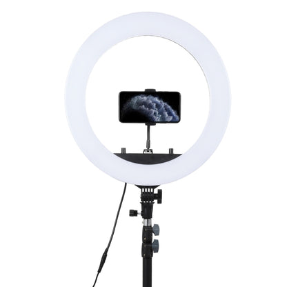 18 inch 55W Two-speed Dimmable Anchor Photography Self-timer LED Ring Fill-in Light with Tripod - Consumer Electronics by buy2fix | Online Shopping UK | buy2fix