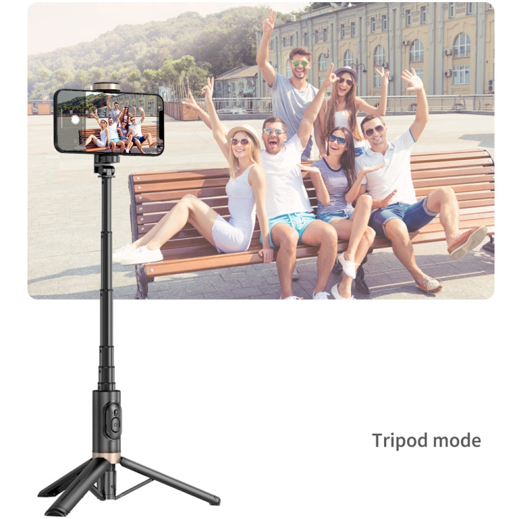 Q12 Hidden Design Reinforced Bluetooth Remote Control Tripod Selfie Stick (Black) - Consumer Electronics by buy2fix | Online Shopping UK | buy2fix