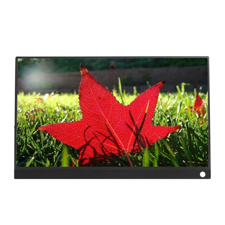 15.6 inch 1080P 178 Degree Wide Angle HD Portable IPS LED Display Monitor - Consumer Electronics by buy2fix | Online Shopping UK | buy2fix