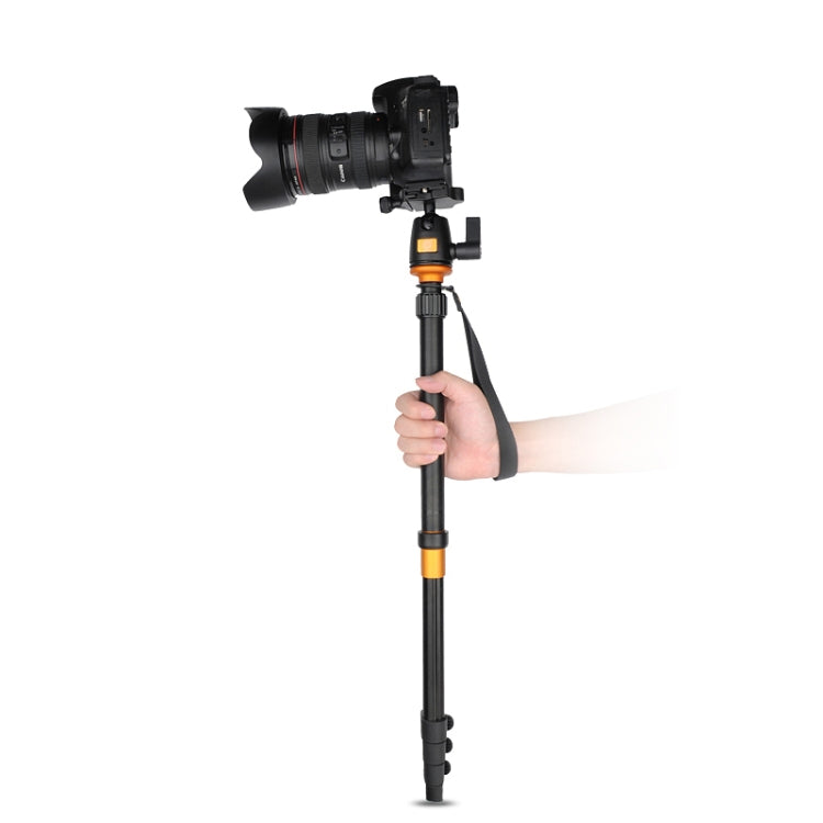 Q555 4-Section Folding Legs Aluminum Alloy Tripod Mount Monopod Holder with Ball Head - Camera Accessories by buy2fix | Online Shopping UK | buy2fix