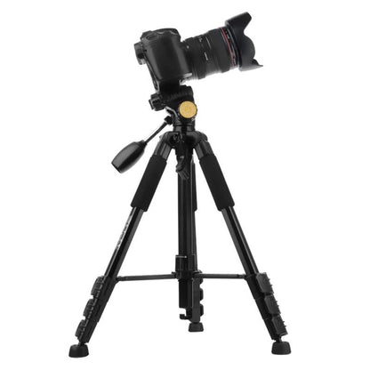 Q111 4-Section Folding Legs Live Broadcast Aluminum Alloy Tripod Mount with Three-dimensional Damping Tripod Heads(Red) - Camera Accessories by buy2fix | Online Shopping UK | buy2fix