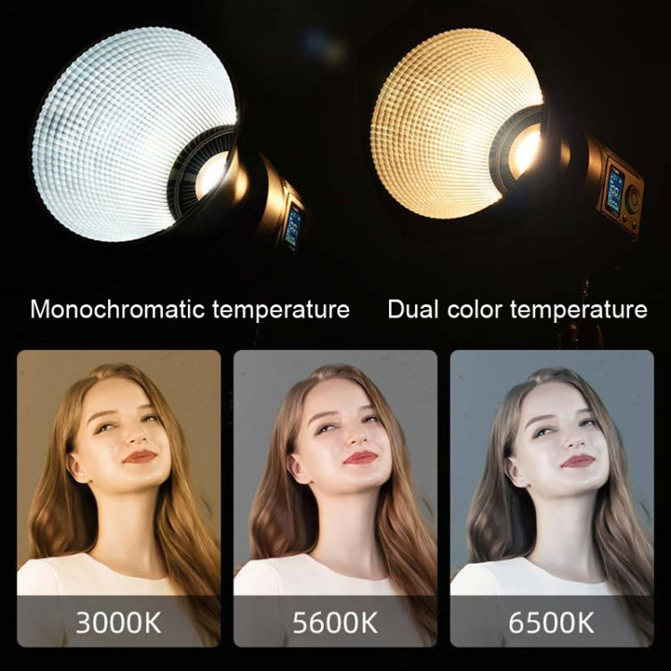 135W Portable Fill Light Handheld LED Photography Light, Style: 2 Color Tmperature Set EU Plug - Camera Accessories by buy2fix | Online Shopping UK | buy2fix