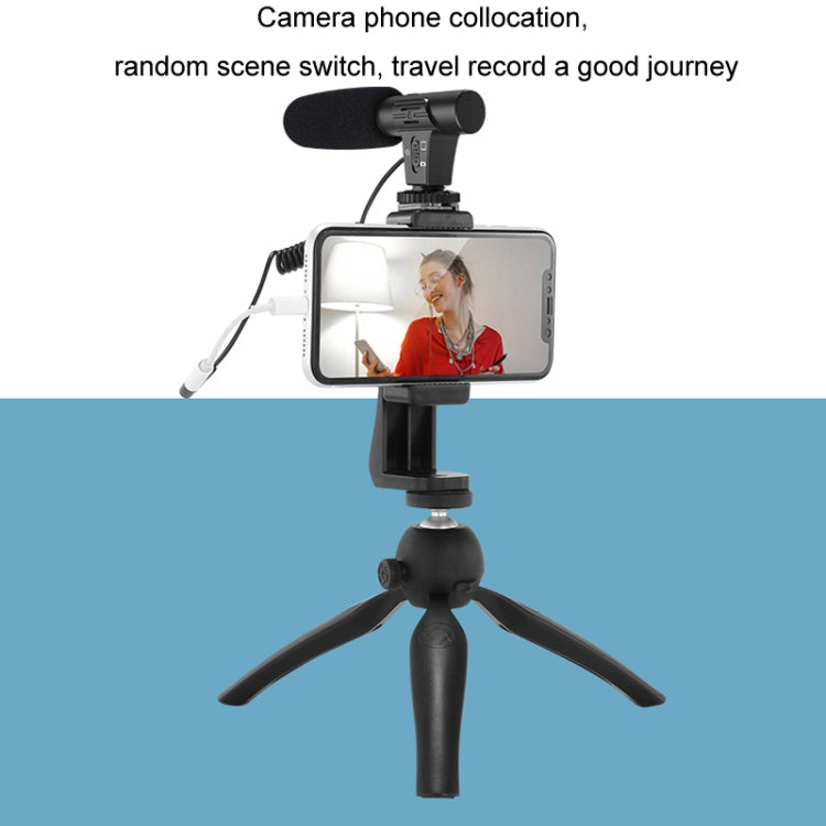 Video Recording Live Camera Mobile Conference Recording Microphone(Black) - Microphone by buy2fix | Online Shopping UK | buy2fix