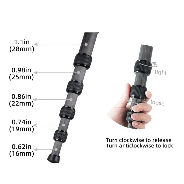 BEXIN P285C Carbon Fiber DSLR Camera Monopod Mountaineering Stick Photography Selfie Holder - Monopods by BEXIN | Online Shopping UK | buy2fix