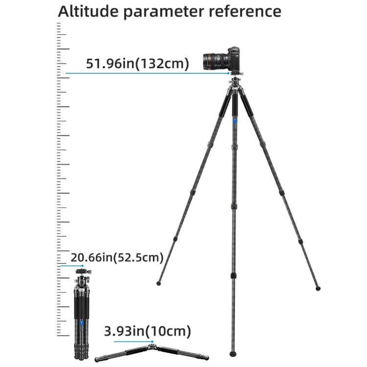 BEXIN RC254 Carbon Fiber Portable Folding Tripod SLR Camera Low Gravity Center Gimbal Photography Bracket - Tripods by BEXIN | Online Shopping UK | buy2fix